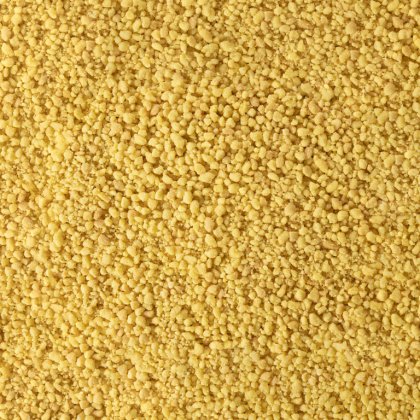 Gros plan sur une texture granuleuse fine et jaune, rappelant de la semoule de maïs grossière ou du couscous séché, c...