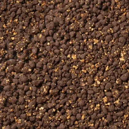 Gros plan sur un mélange brun foncé friable avec des noix hachées visibles, évoquant une texture de crumble au chocol...