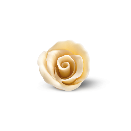 Décoration de rose en sucre ou pâte à sucre couleur crème sur fond blanc