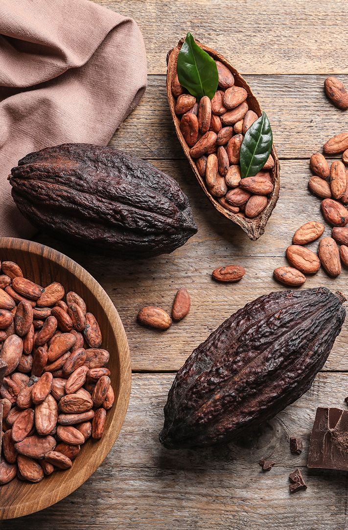 Cabosses de cacao entières, fèves torréfiées, morceaux de chocolat et cacao en poudre sur une table en bois rustique.